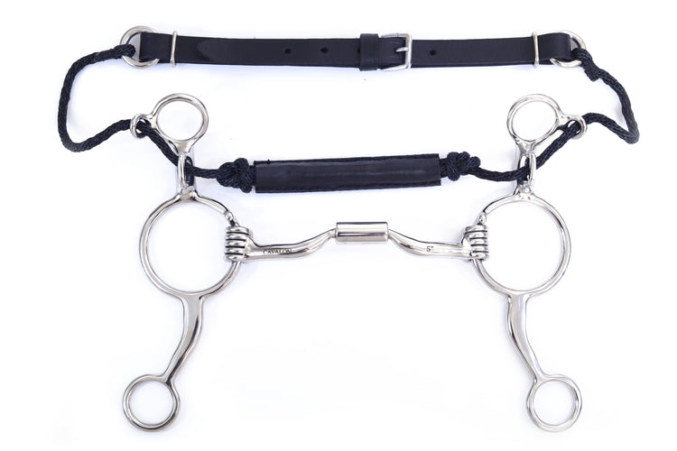 Western Combination Low Port Barrel Bit with Leather Noseband